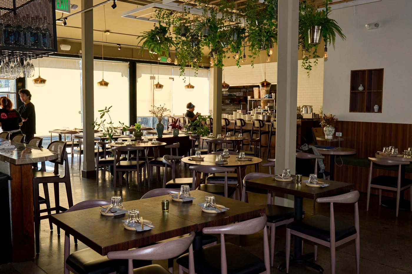 Danbi's dining room with hanging plants